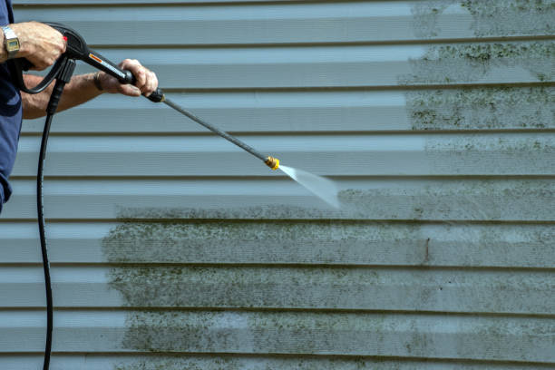 Best Sidewalk and Walkway Pressure Cleaning in Georgetown, DE